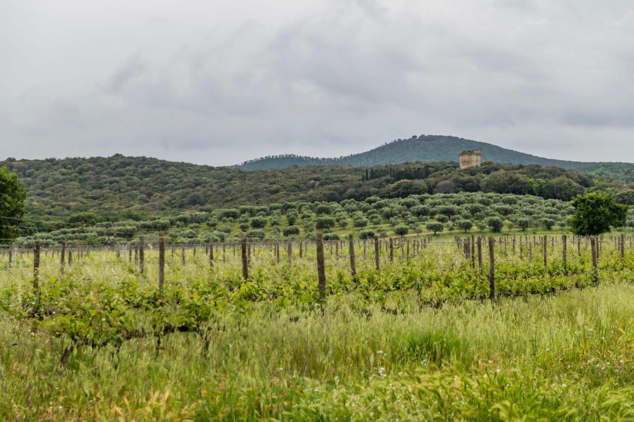 Tenuta Agricola Dell'Uccellina Magliano in Toscana Ngoại thất bức ảnh