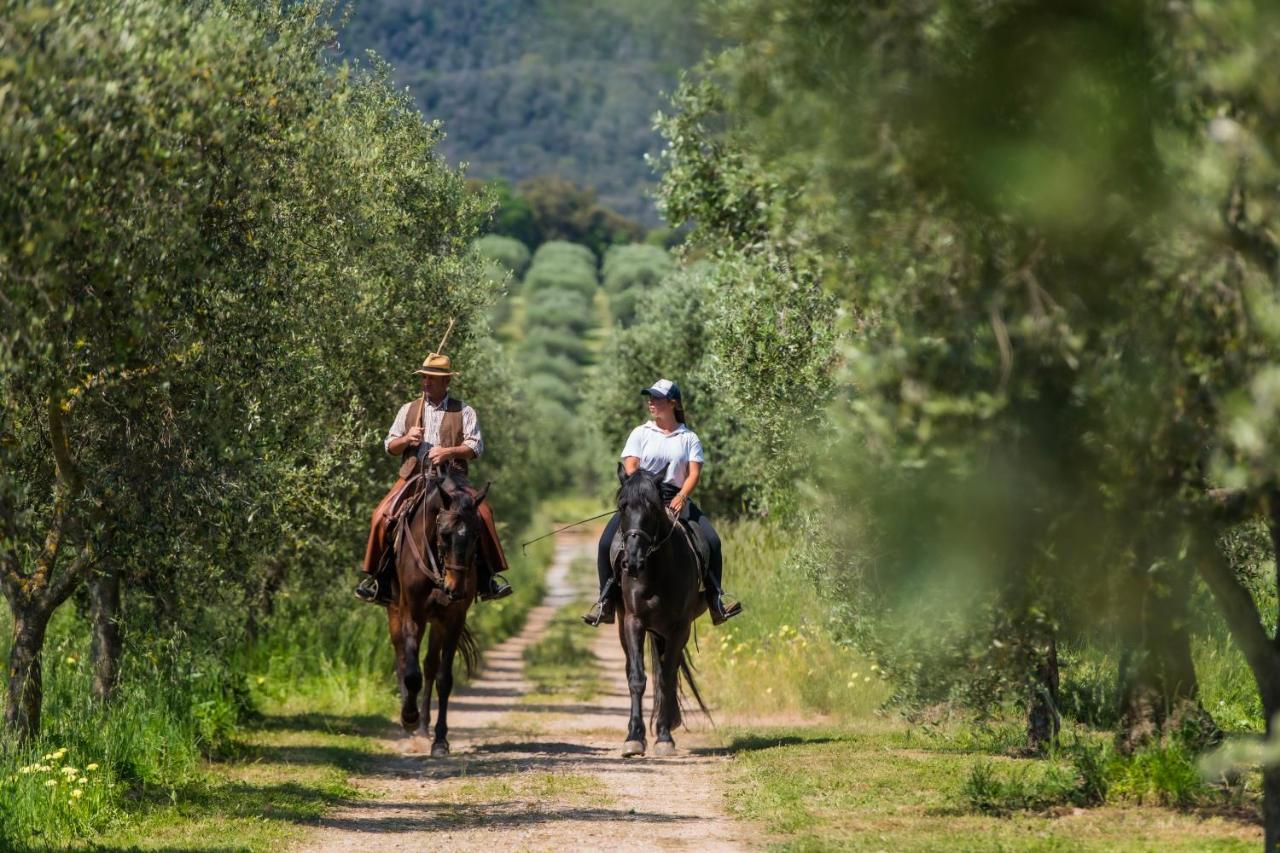 Tenuta Agricola Dell'Uccellina Magliano in Toscana Ngoại thất bức ảnh