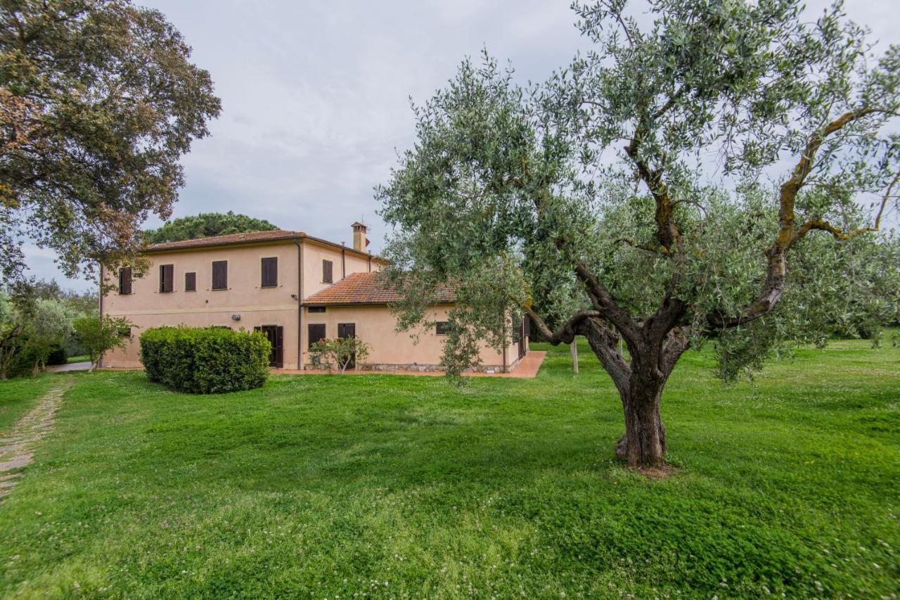Tenuta Agricola Dell'Uccellina Magliano in Toscana Ngoại thất bức ảnh