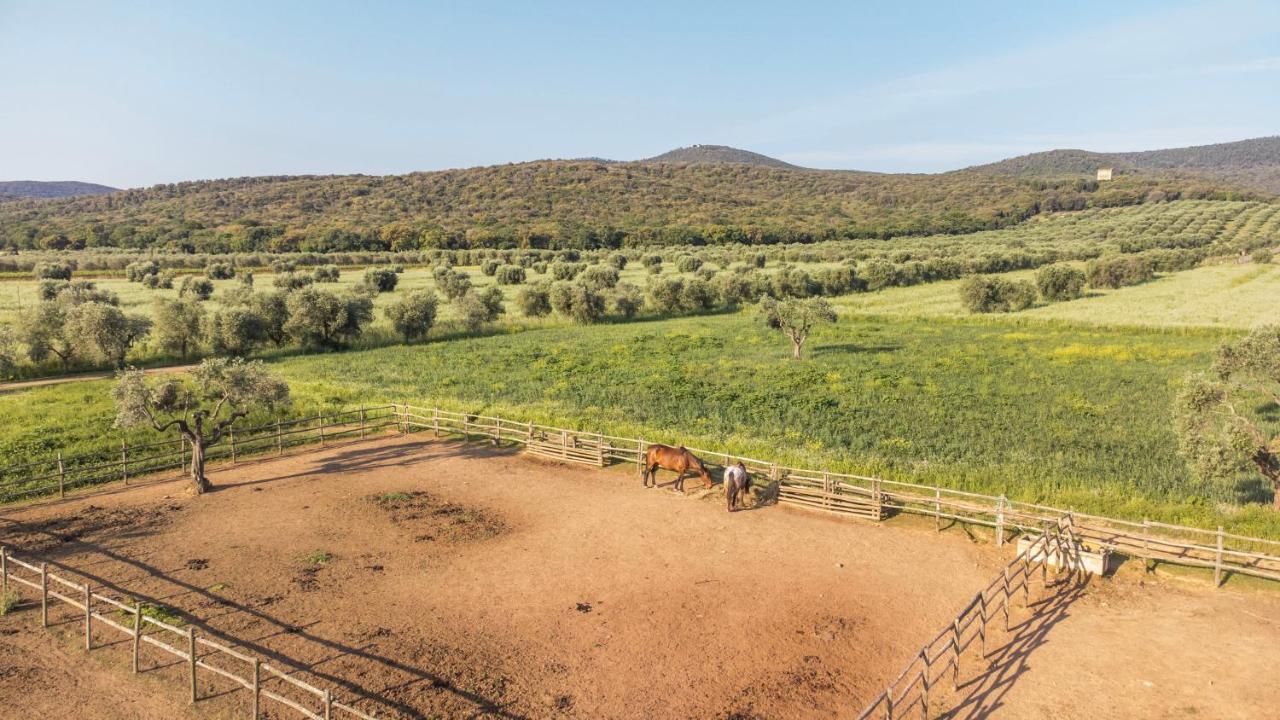 Tenuta Agricola Dell'Uccellina Magliano in Toscana Ngoại thất bức ảnh