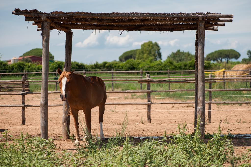 Tenuta Agricola Dell'Uccellina Magliano in Toscana Ngoại thất bức ảnh