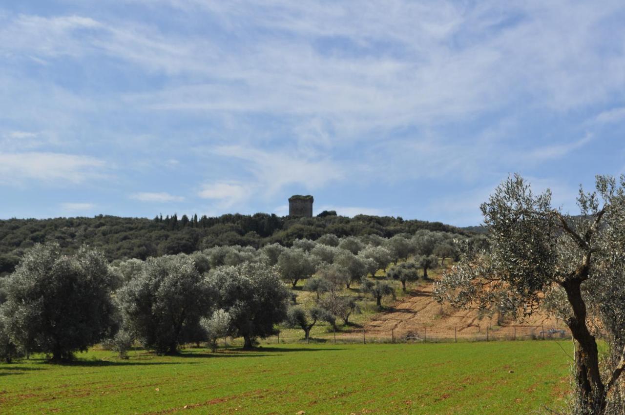 Tenuta Agricola Dell'Uccellina Magliano in Toscana Ngoại thất bức ảnh